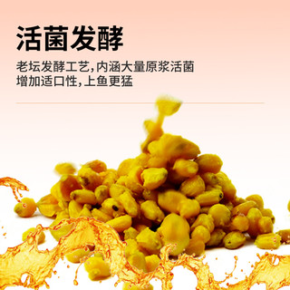 西部风首发老坛蜂蜜甜薯玉米五谷杂粮鱼饵窝料发酵穿透强垂钓