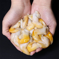 易燊新鲜鸟贝肉新鲜现剥去壳冷冻鸟贝肉无泥无沙海鲜美食大鸟贝 鸟贝肉* 2250克(净重)  海产品途中会水分会流失，并非缺斤少两