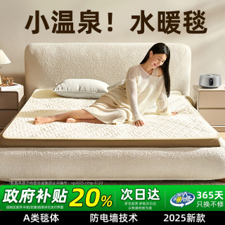 环鼎 小温泉水暖电热毯水暖毯2025水暖电褥子水循环加热炕全套