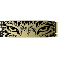 MOVE SPEED 移速 1TB SSD固态硬盘 M.2接口PCIe 4.0 x4长江存储晶圆  黑豹（纯铜散热片版）