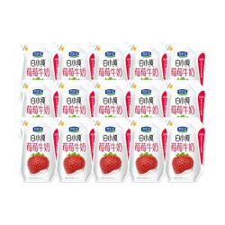 君乐宝 白小纯莓莓牛奶200ml*12袋草莓味牛奶