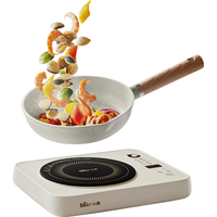 电磁炉 家用大功率2200W 火锅炉 电磁灶 智能定时 电灶防水黑色微晶面板DCL-B22H5