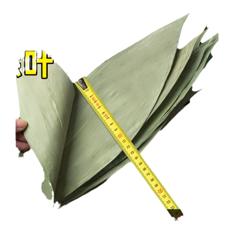  班恩 新鲜 粽叶
