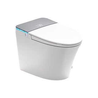 EFEF德国E66pro全自动翻盖冲水家用无水压限制坐便器一体式智能马桶 标准版-白色【隐藏泡沫盾】 305/350/400下单备注坑距