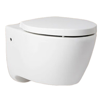 KOHLER 科勒 K-25255T-BW-0+6283T-PNE-CP+K4141T-2P-0 壁挂式马桶套装