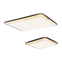 Panasonic 松下 全光谱护眼吸顶灯全屋米家智能现代简约灯具泽巡一室一厅套装