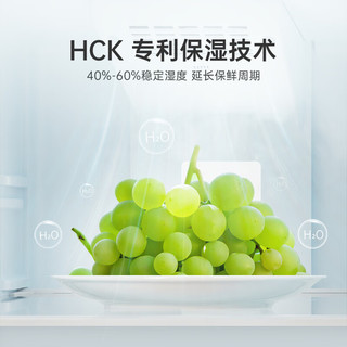 HCK/哈士奇 BCD-253RAS 237L 侘寂风冷灰 双门冰箱