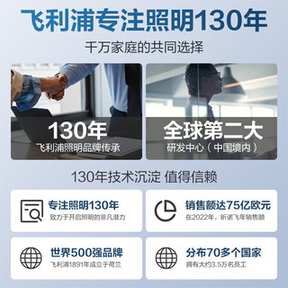 飞利浦（PHILIPS）开关插座面板昕绎家用86型大间距正斜五孔墙壁暗装电工电料开关 空白面板