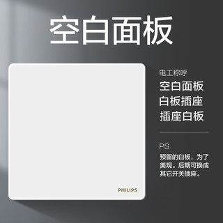 飞利浦（PHILIPS）开关插座面板昕绎家用86型大间距正斜五孔墙壁暗装电工电料开关 空白面板