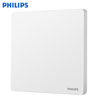 飞利浦（PHILIPS）开关插座面板昕绎家用86型大间距正斜五孔墙壁暗装电工电料开关 空白面板