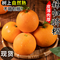 探味先生 正宗湖北宜昌秭归脐橙子 5斤装【净重4.5斤/8-12个】