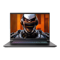 MACHENIKE 机械师 曙光15Pro 2024款 八代锐龙版 15.6英寸 游戏本 银色(锐龙R7-8845HS、RTX 4060 8G、16GB、1TB SSD、2.5K、165Hz)