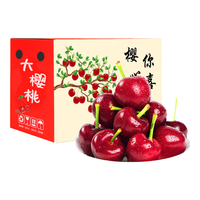 旭霁智利车厘子【JD/多地次日达】4J大樱桃水果年货节盒 3斤(净重) 3JJJ级 单果30-32mm