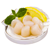 獐子岛 冻扇贝柱 250g