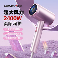 Leiman雷曼大功率家用发廊速干吹风机负离子护发冷热宿舍电吹风筒