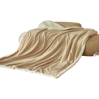 一默毛毯塔芙绒加厚保暖午睡毯羊羔绒盖毯办公室居家沙发双面冬季毯子 奶茶色 100*120cm