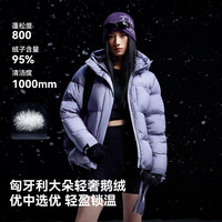 伯希和(Pelliot)【极寒pro】羽绒服男女800蓬鹅绒冬季防风保暖蓄热连帽外套夹克 【95%鹅绒】男款/岩层灰 丨银离子蓄热 S