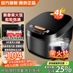 SUNPUNR 电饭煲家用5L大容量多功能智能预约全自动养生球釜不粘内胆快煮饭电饭锅柴火灶蒸米煮粥 4L