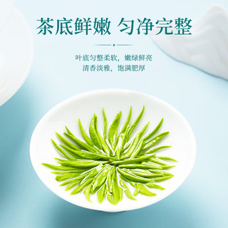 臻尖毛尖绿茶茶叶2025新茶自己喝特级高山云雾绿茶 【鲜醇爽口】毛尖茶*大成