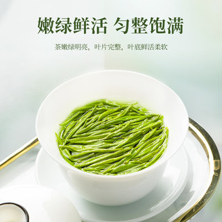 臻尖毛尖绿茶茶叶2025新茶自己喝明前特级高山云雾绿茶罐装 【特级品质】毛尖茶*雅成200g