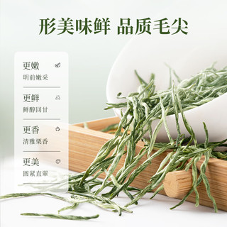 臻尖毛尖绿茶茶叶2025新茶自己喝明前特级高山云雾绿茶罐装 【特级品质】毛尖茶*雅成200g