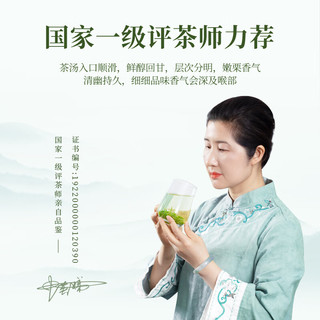 臻尖毛尖绿茶茶叶2025新茶自己喝明前特级高山云雾绿茶罐装 【特级品质】毛尖茶*雅成200g