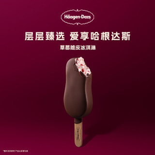 哈根达斯 脆皮条 冰淇淋