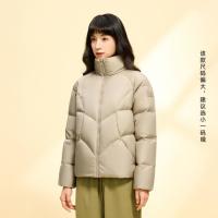 保暖服饰：安踏 女士羽绒服 162447954
