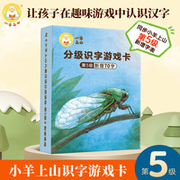 小羊上山儿童汉语分级读物第1级字卡扑克牌汉语分级识字卡幼小衔接识字书幼儿认字幼儿园入学准备儿童早教启蒙识字卡
