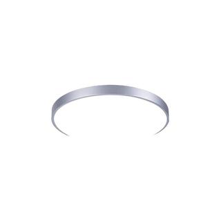 雷士 NVC   Lighting照明北欧现代卧室灯餐厅灯吸顶灯 LED儿童房灯 银色圆形三段调光24瓦