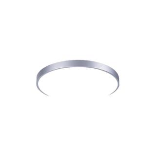 雷士 NVC   Lighting照明北欧现代卧室灯餐厅灯吸顶灯 LED儿童房灯 银色圆形三段调光24瓦