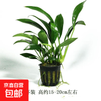 京东宠物品类日 爆品价同双11 