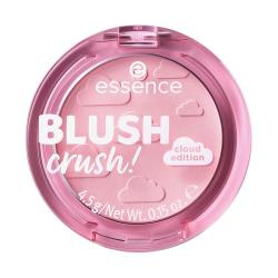essence 马赛克腮红