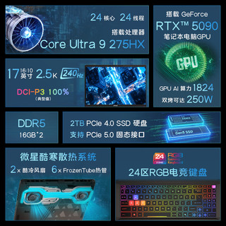  MSI/微星 Vector 17 HX AI-069CN RTX5090独显 游戏本 32G 5600MHz内存 2T固态  2560*1600 U9-275HX RTX 5090 黑色 240Hz 32GB 2TB