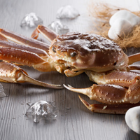 【活鲜】俄罗斯鲜活进口板蟹活蟹海鲜水产 2.4-2.6斤/1只