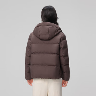 雪中飞【至12.07】2025冬羽绒服女短款过冬小个子百搭连帽保暖 咖色|7406 M /160/84A