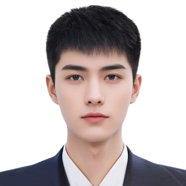 佰丝堂 100%全真发 男士假发套