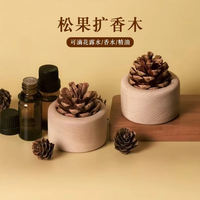 家掌柜松果扩香木家用榉木扩香器创意无火香薰桌面装饰精油扩香日用杂货 扩香木2个（可滴花露水/香水）