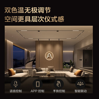 Aqara智能双色温灯带双端出线双色温无级调节Ra90家用氛围灯背景墙5m 双色温