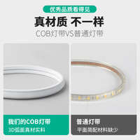 COB灯带led超亮超薄220v户外防水家用客厅吊顶自粘线形灯槽软灯条