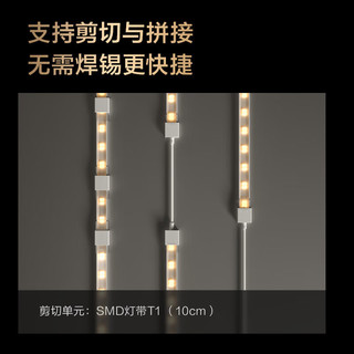 Aqara智能双色温灯带双端出线双色温无级调节Ra90家用氛围灯背景墙5m 双色温