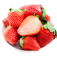 静益乐源 精品鲜草莓 单果果重13-18g 1.5kg 礼盒装