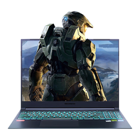 MECHREVO/机械革命 13代酷睿i9 游戏本 酷睿i9-13900HX 2560*1600 RTX 4060 灰色 32GB 240 1TB
