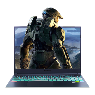  MECHREVO/机械革命 13代酷睿i9 游戏本  酷睿i9-13900HX 2560*1600 RTX 4060 灰色 32GB 240 1TB