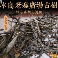 茗冠忠品2021年春茶冰岛老寨广场核心早春古树散茶云南古树茶 普洱茶散茶 100克