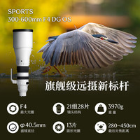  SIGMA/适马 全画幅微单远摄变焦镜头