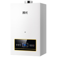 现代壁挂炉天然气地暖热水两用板换式20KW家用供暖锅炉采暖洗澡用热水器L1PB20-HZ标准款