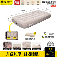 菲莱仕 FEIRSH 充气床垫打地铺医院陪护地垫户外露营野营加厚 单人充气床（25CM)+桃皮绒充气枕