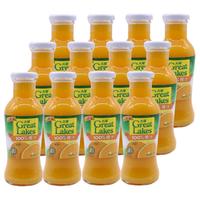 大湖 100%橙汁 255ml*24瓶