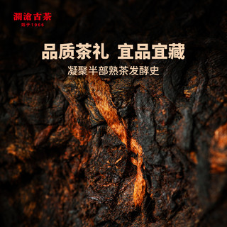 澜沧古茶云南普洱熟茶 2022年0085第十一代景迈山古树纯料茶叶礼盒 2022年0085锡罐鉴赏装